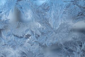 winter freeze prep tips